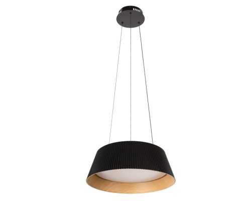 10224P Black Подвесной светильник LOFT IT Evans