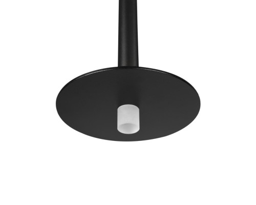 10358/830 Disk Подвесной светильник LOFT IT Reed