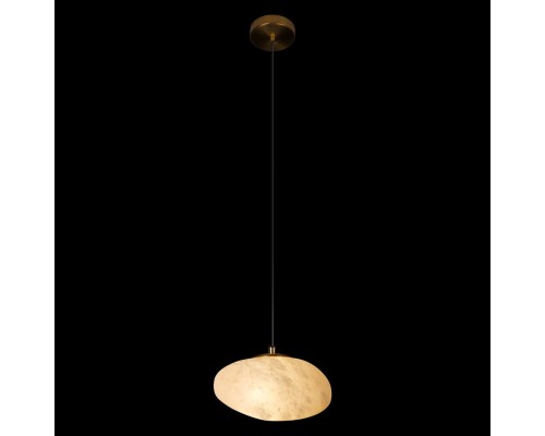10531C Подвесной светильник LOFT IT Fionora