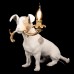 10312 Grey Настольная лампа LOFT IT Dog