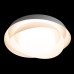 10256 White Потолочный светильник LOFT IT Petale