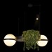 10121/2 Dark grey Подвесной светильник LOFT IT Jardin