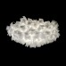 10595/780C White Потолочный светильник LOFT IT Clizia