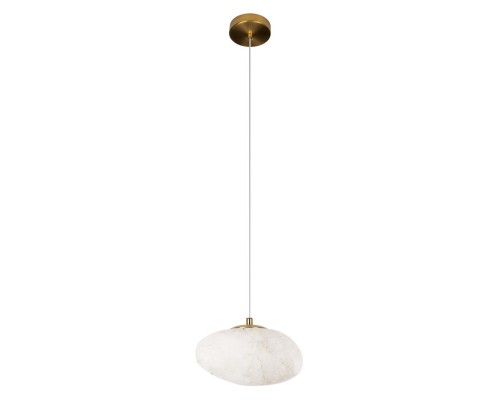 10531C Подвесной светильник LOFT IT Fionora