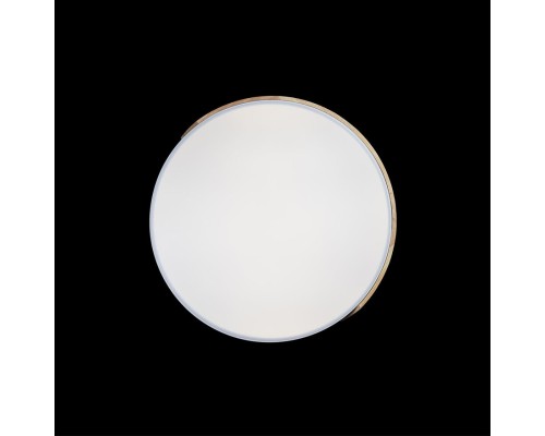 10004/36 White Светильник потолочный LOFTIT Axel