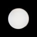 10004/36 White Светильник потолочный LOFTIT Axel