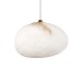 10531B Подвесной светильник LOFT IT Fionora