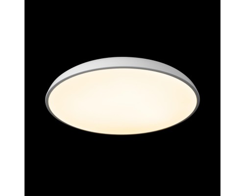 10371 White Потолочный светильник LOFT IT Dime