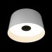 10360L White Потолочный светильник LOFT IT Duo