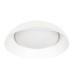 10229 White Потолочный светильник LOFT IT Cappello