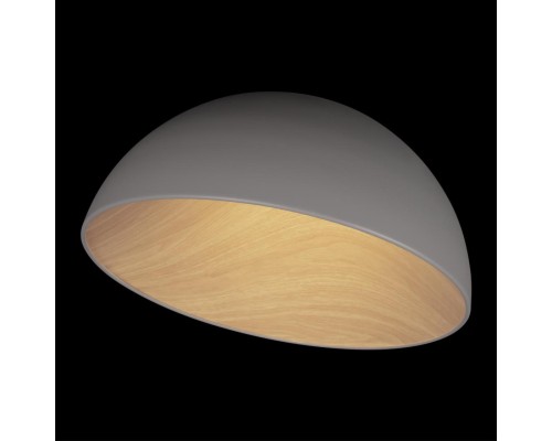10197/500 Grey Потолочный светильник LOFT IT Egg