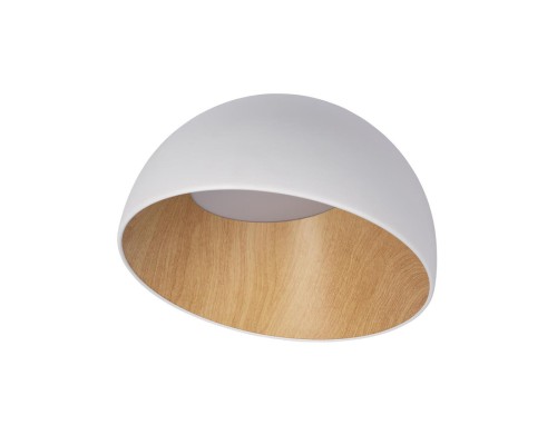 10197/350 White Потолочный светильник LOFT IT Egg