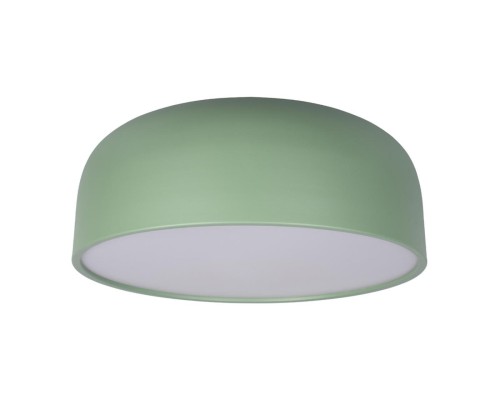 10201/480 Green Потолочные светильники LOFT IT Axel