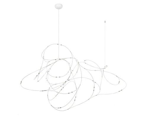 10309/21 CR Подвесной светильник LOFT IT Flock of Light