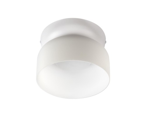 10466 Milky white Потолочный светильник LOFT IT Totem