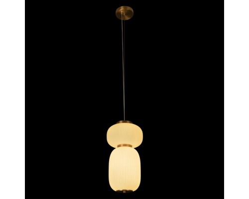 10422/B Подвесной светильник LOFT IT Duff