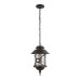 100021P Уличный подвесной светильник LOFT IT Prato