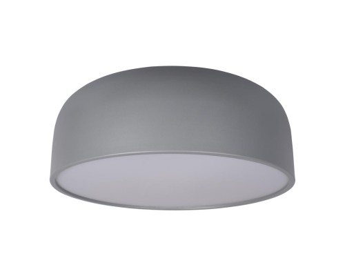 10201/480 Grey Потолочные светильники LOFT IT Axel