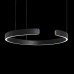 10025/600 Black Светильник подвесной LOFTIT Ring