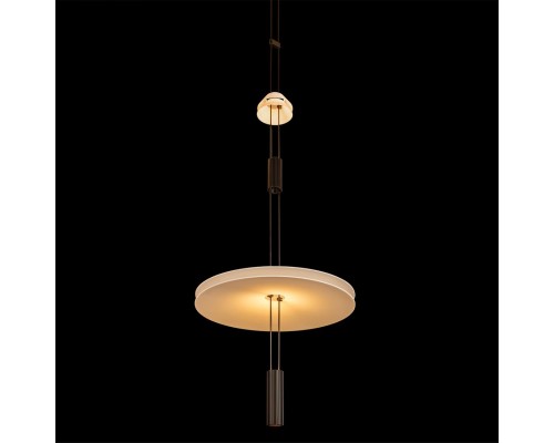 10598B Подвесной светильник LOFT IT Flamingo