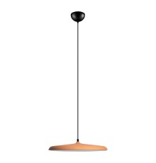 10119 Orange Подвесные светильники LOFT IT Plato