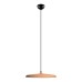 10119 Orange Подвесные светильники LOFT IT Plato