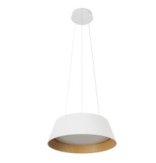 10224P White Подвесной светильник LOFT IT Evans