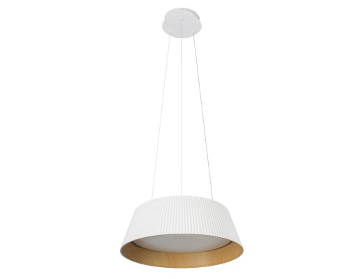 10224P White Подвесной светильник LOFT IT Evans