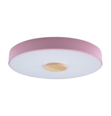 10003/24 Pink Светильник потолочный LOFTIT Axel