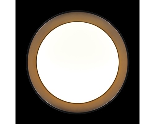 10202 BB  Потолочный светильник  LOFT IT Coin