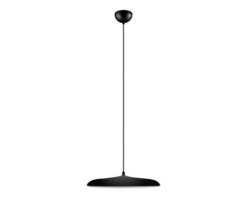 10119 Black Подвесной светильник LOFT IT Plato