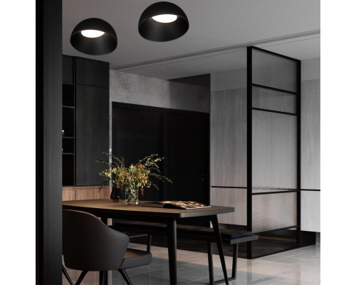 10197/350 BB  Потолочный светильник  LOFT IT Egg