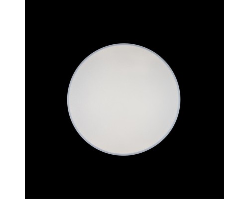 10002/48 White Светильник потолочный LOFTIT Axel