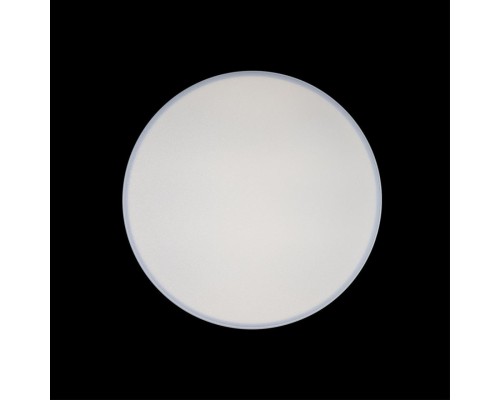 10002/24 White Светильник потолочный LOFTIT Axel
