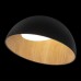 10197/500 Black Потолочные светильники LOFT IT Egg