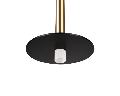 10358/830 Disk AB Подвесной светильник LOFT IT Reed