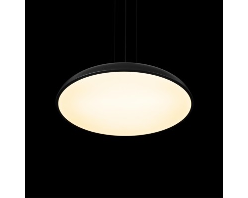 10371P Black Подвесной светильник LOFT IT Dime