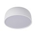 10201/350 White Потолочные светильники LOFT IT Axel