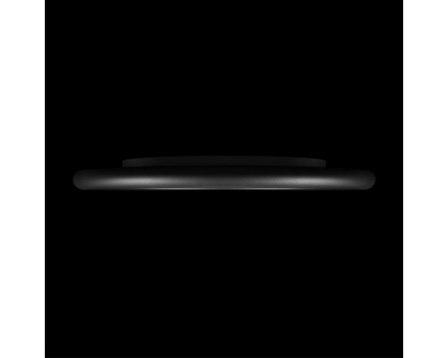 10454/500 Black  Потолочный светильник  LOFT IT Sweety