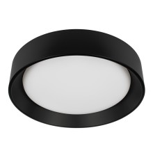 10202 BB  Потолочный светильник  LOFT IT Coin