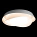 10256 White Потолочный светильник LOFT IT Petale