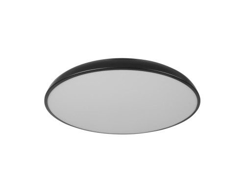 10371 Black Потолочный светильник LOFT IT Dime