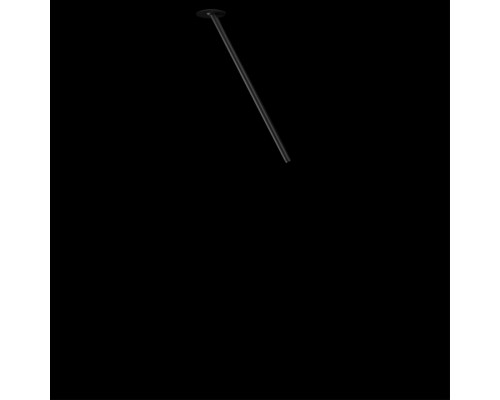 10359/500 Black Потолочный светильник LOFT IT Cane