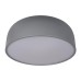 10201/480 Grey Потолочные светильники LOFT IT Axel