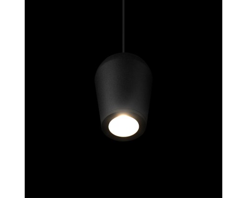 10357/1 Подвесной светильник LOFT IT Blackout