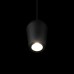 10357/1 Подвесной светильник LOFT IT Blackout