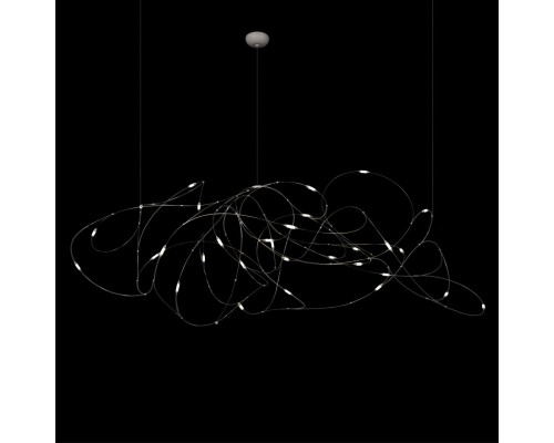 10309/31 CR Подвесной светильник LOFT IT Flock of Light