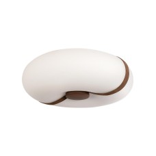 10473 Потолочный светильник LOFT IT Bolina