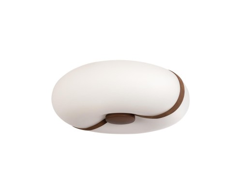 10473 Потолочный светильник LOFT IT Bolina