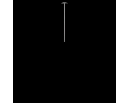 10359/500 White Потолочный светильник LOFT IT Cane